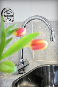 a kitchen sink with a faucet and a plant at The ‘Servants Quarters@Delny House’ in Invergordon