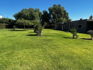 a large green yard with trees and a building at Alquilo casa quinta in Pocito