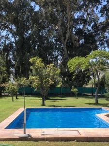 ein blauer Pool in einem Park mit Bäumen in der Unterkunft Alquilo casa quinta in Pocito