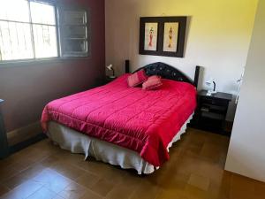 ein Schlafzimmer mit einem großen Bett mit einer roten Bettdecke in der Unterkunft Alquilo casa quinta in Pocito