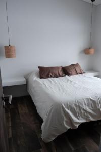 1 dormitorio con 2 almohadas en MODERNAS CABAÑAS EN USPALLATA en Uspallata