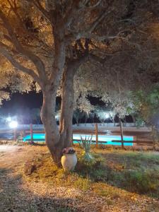 Vonkajšia záhrada v ubytovaní Agriturismo Palas De Serra Country Resort