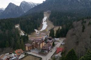 an aerial view of a town with a river and mountains at Kalinderu SKIER'S APARTAMENT BELLEVUE in Buşteni