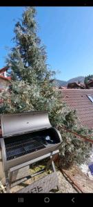 a christmas tree sitting on top of a grill at Roca House in Braşov