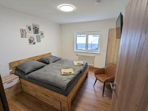 a bedroom with a bed and a chair and a window at S'bahnhöfle Apartments in Ringsheim