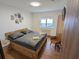 una camera da letto con un letto, una sedia e una finestra di S'bahnhöfle Apartments a Ringsheim