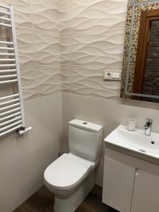 een badkamer met toilet en wastafel bij 101 Large Space in Kaunas
