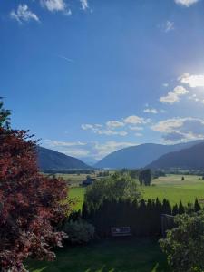 Blick auf ein grünes Feld mit Bergen im Hintergrund in der Unterkunft Ewald's Panoramablick in Feldkirchen in Kärnten