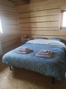 1 dormitorio con 1 cama con toallas en Escale au cœur de l'Alsace en Wolfisheim