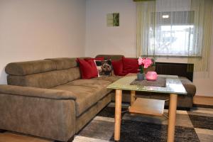 a living room with a couch and a table at Ewald's Panoramablick in Feldkirchen in Kärnten