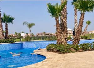 - une piscine avec des palmiers dans un complexe dans l'établissement Sofia’s placeCosy ground floor Appartement RDJ, à Marrakech