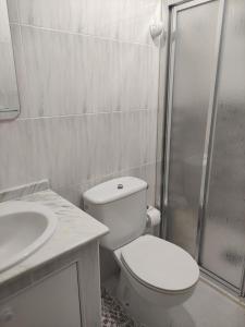 a white bathroom with a toilet and a shower at Apartamento BELA VISTA in Sanxenxo