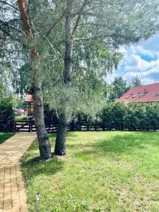 un parque con dos árboles y una mesa de picnic en Happy House - Kaszubska Ostoja, en Barkocin