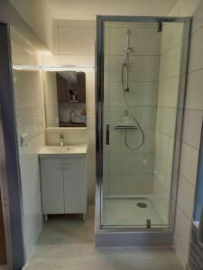 uma casa de banho com um chuveiro e um lavatório. em Charmant Studio Centre de Foix 2ème étage em Foix