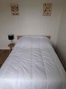 Postel nebo postele na pokoji v ubytování Le Logis de Suzac
