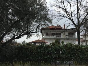 a large white building with a tree in front of it at Litsa Haus Estate Residences & Suites - Adults Only & Kids 12 Plus- in Asprovalta