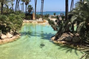 una gran piscina con palmeras y el océano en Apartamento Playa Levante, en Santa Pola