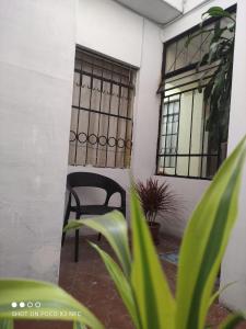 una sedia e una finestra in una stanza con piante di Hostal puerta del sol a Quito