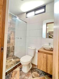 a bathroom with a toilet and a shower and a sink at 201S Apartamento de ensueño in Vallecito +10 photos