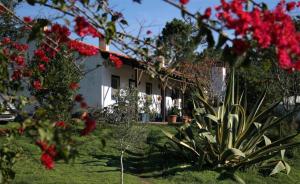 サン・テオトーニオにあるMonte da Choçaの赤い花の家