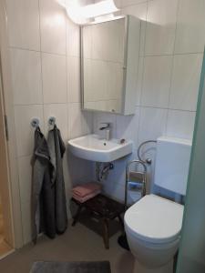 uma casa de banho com um lavatório, um WC e um espelho. em Ferienwohnung Höfenhof em Schiltach