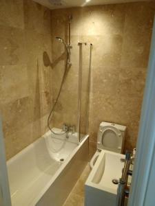 a bathroom with a tub and a toilet and a shower at Luxury Penthouse Apartment ( Private Gated) in London