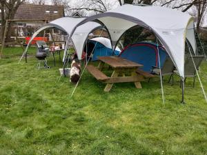 a tent and a picnic table in the grass at Basic 2p tent Sotterum in Cornwerd