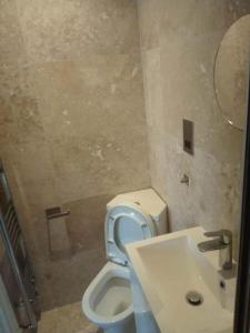 uma casa de banho com um WC branco e um lavatório. em Luxury Penthouse Apartment ( Private Gated) em Londres