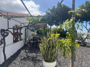 Vonkajšia záhrada v ubytovaní Casa La Juyona