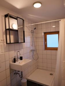 a bathroom with a sink and a shower and a mirror at Apartma Drev in Bošnjak in Dobrna