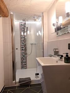 a bathroom with a shower and a sink at AuenGut-Bertsdorf in Bertsdorf