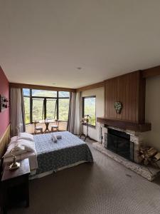 ein Schlafzimmer mit einem Bett und einem Kamin in der Unterkunft Hotel São Gotardo in Itamonte