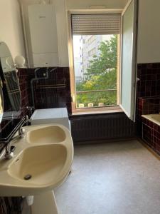 ein Bad mit einem Waschbecken und einem Fenster in der Unterkunft APPARTEMENT entier à ARTEM - Proche de Nancy Thermal in Nancy