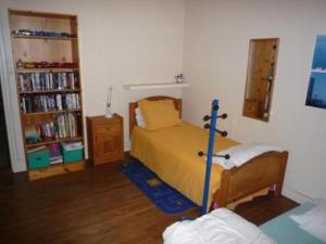 トゥールーズにあるアパルトマン マタビオのベッドルーム(ベッド1台、本棚付)