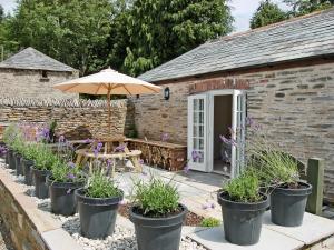 une rangée de plantes en pot devant un bâtiment dans l'établissement Game Larder Cottage, à Saint Mabyn