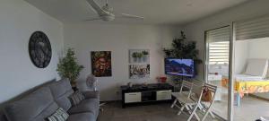 a living room with a couch and a tv at Les Flots Bleus in La Trinité