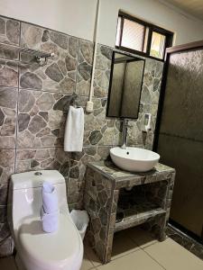 a bathroom with a toilet and a sink at La Piña, Rio Celeste in Rio Celeste