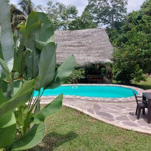 un complejo con piscina y techo de paja en Shimiyacu Amazon Lodge, en Tarapoto