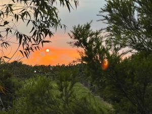 The sunrise or sunset as seen from the homestay or nearby