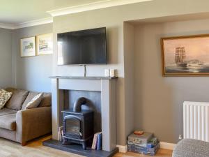 a living room with a fireplace with a tv above it at Dougies Retreat in Pevensey