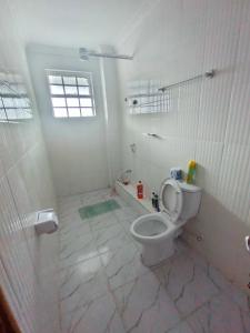La salle de bains blanche est pourvue d'une douche et de toilettes. dans l'établissement One bedroom unit with wi-fi & parking, à Nanyuki