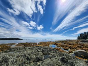 una orilla rocosa con un cielo azul y nubes en Westcoast Paradise, en Ucluelet