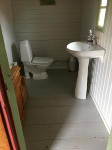 a bathroom with a toilet and a sink at Liten stuga mitt i naturen på Kinnekulle in Hällekis