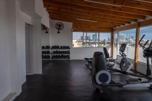 Fitness centrum a/nebo fitness zařízení v ubytování Palmer Suites