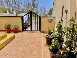 eine Terrasse mit einem schwarzen Tor und Topfpflanzen in der Unterkunft Casa La Ola - Idylle am Meer, La Lajita in Lajita