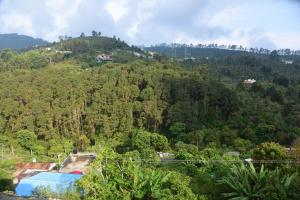 a view of a mountain with trees and a swimming pool at LILAC INN in Kodaikānāl