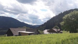Príroda v okolí farmy