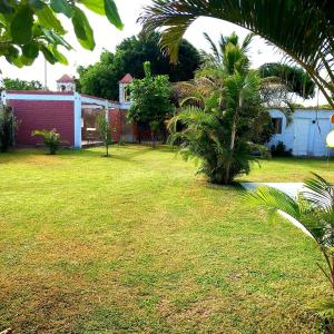 une cour avec une maison et un palmier dans l'établissement Villa Hospedaje Chanchan Cultural Lodge, à Trujillo