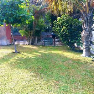 einen Hof mit einem Zaun und einigen Bäumen und Gras in der Unterkunft Villa Hospedaje Chanchan Cultural Lodge in Trujillo