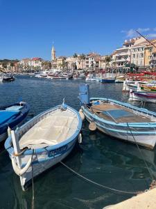 grupa łodzi zakotwiczona w porcie w obiekcie Joli Studio à Sanary-sur-Mer w mieście Sanary-sur-Mer